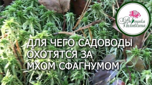 ПРИРОДА САДОВОДУ