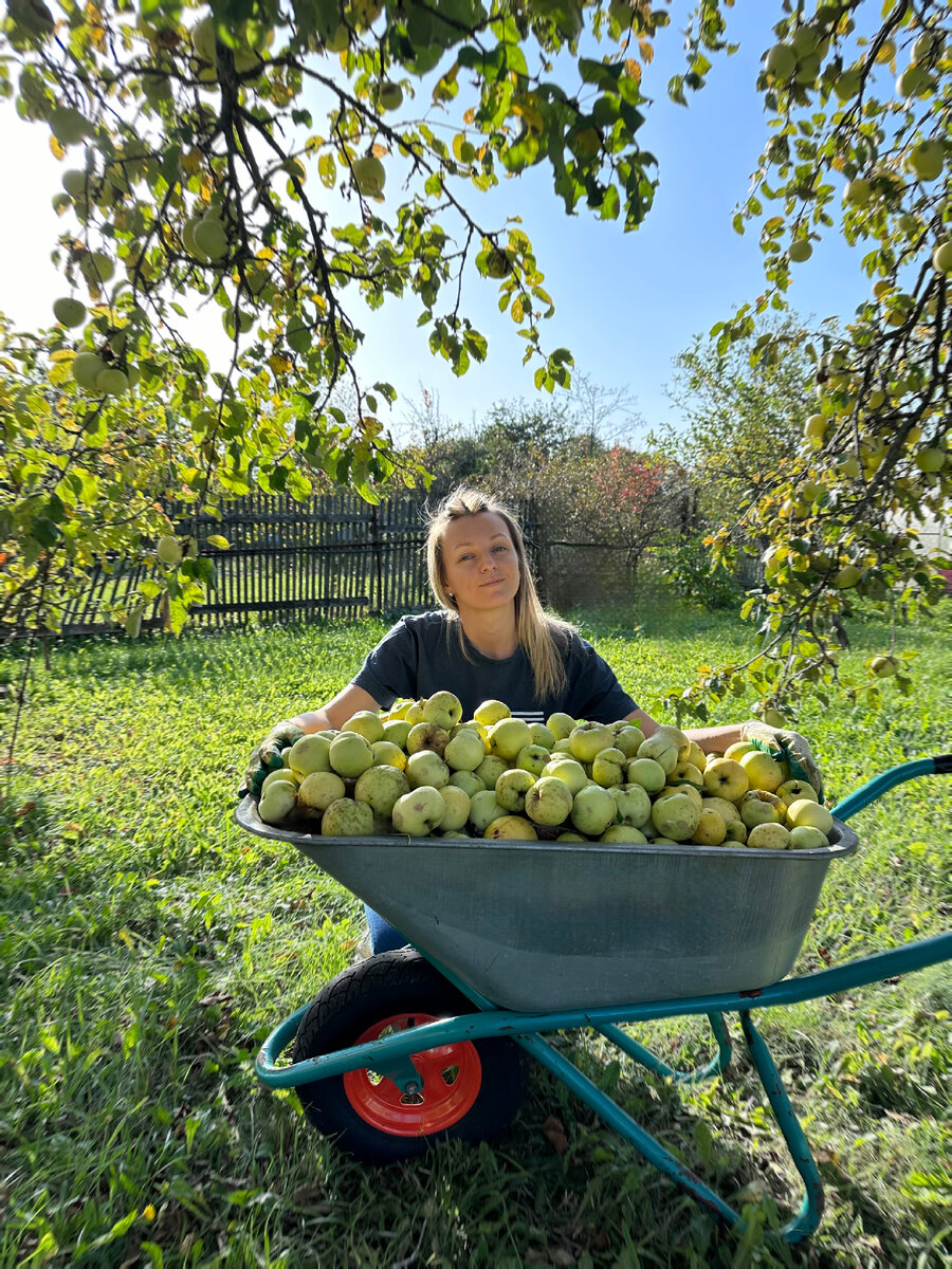 Мой урожай в этом году