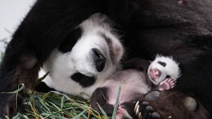  Фото: Telegram / Светлана Акулова