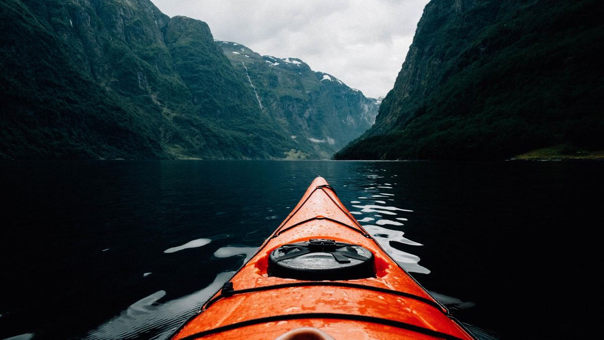 Фото: unsplash.com
