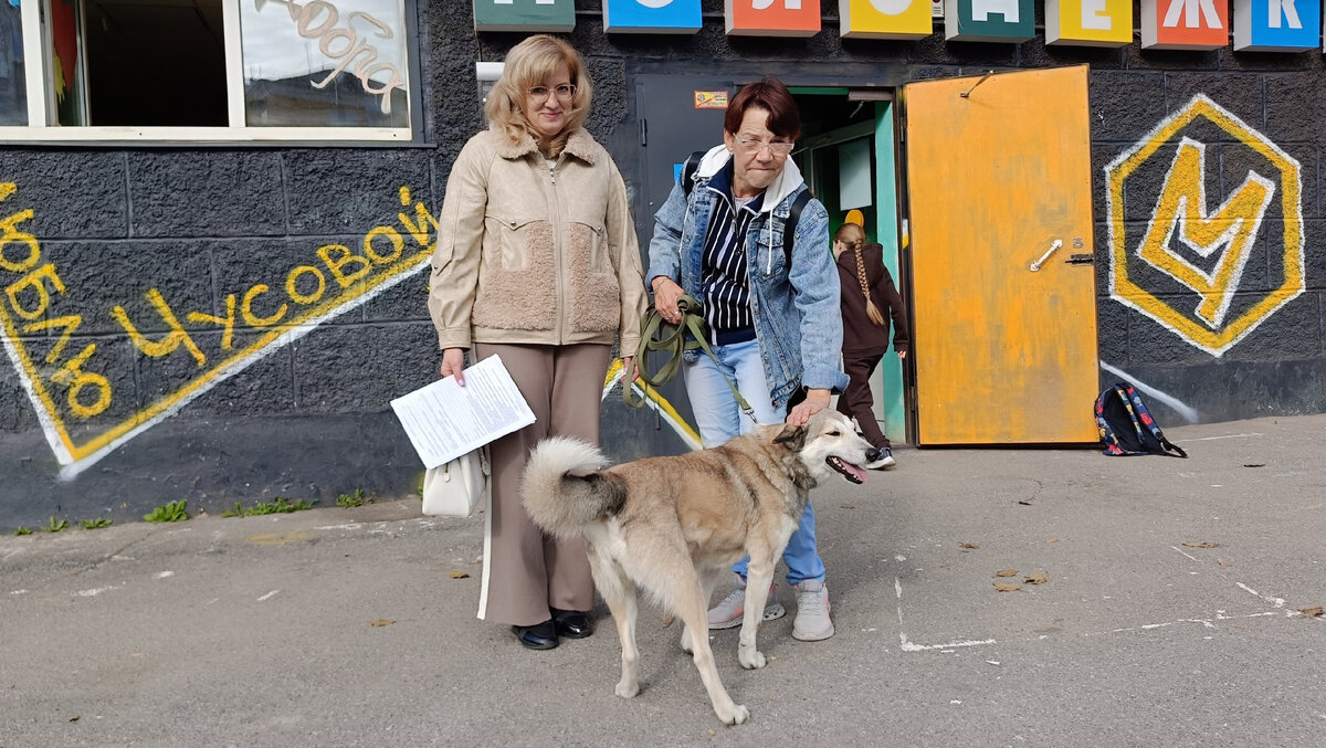 Лиса с хозяйкой и Олей