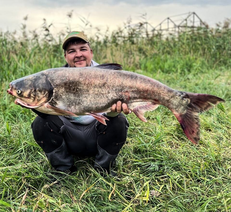 Судак дон на ростов. Рогожкино ростов на дону рыбалка. Судак дон на ростов. Миграция судака на дону. Судак дон на ростов.