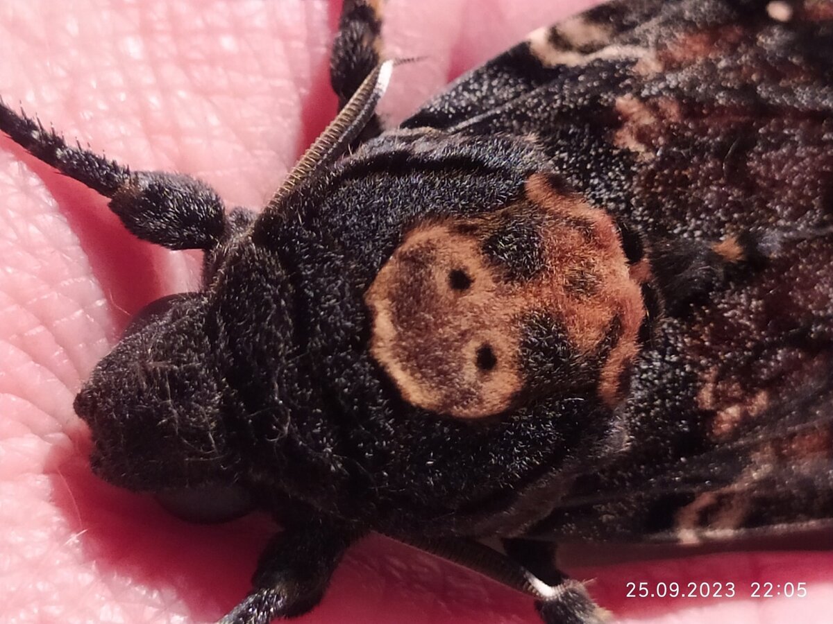 Фото: Наталья Литвинова