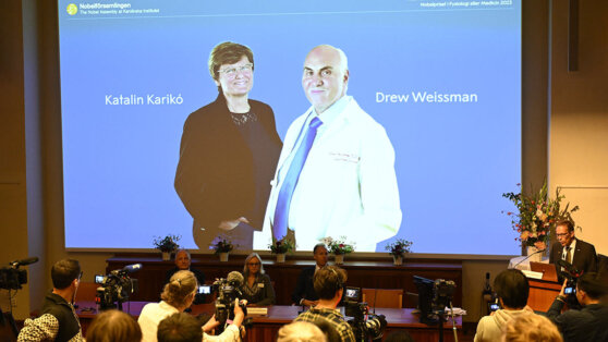    Нобелевскую премию присудили за позволившие создать вакцину от COVID-19 открытия Алина Городниченко