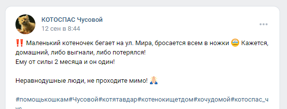 Крошечный котёнок подбегал ко всем прохожим. Ему было очень одиноко на улице.