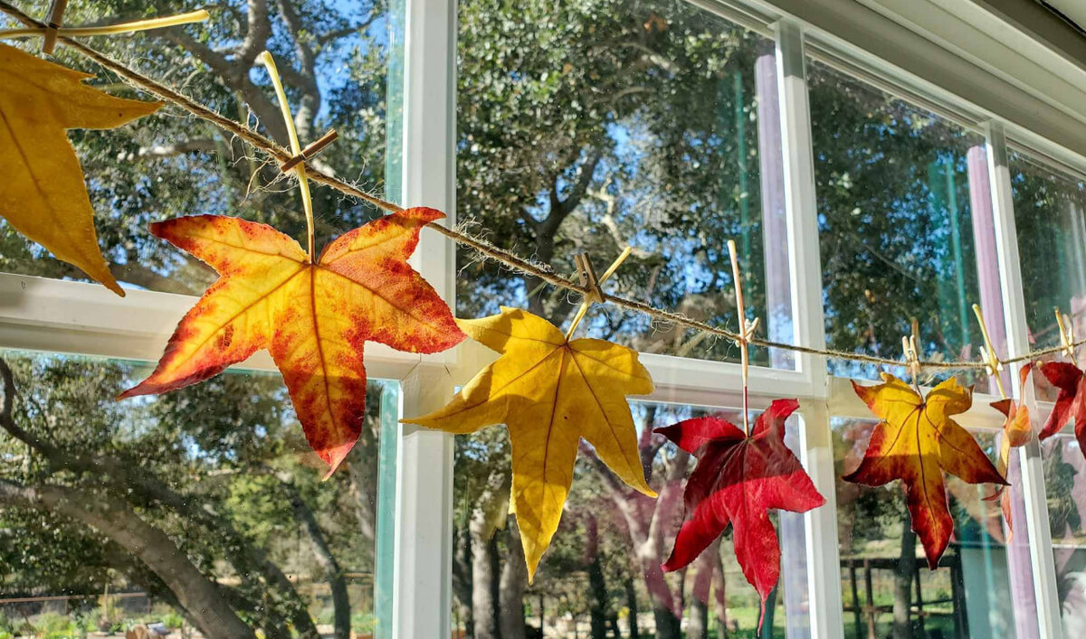 фотография взята из открытых источников