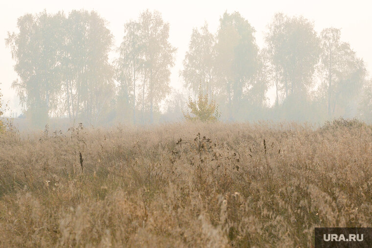    Мужчину, которого выбросили из машины в лесу, оказался пьян
