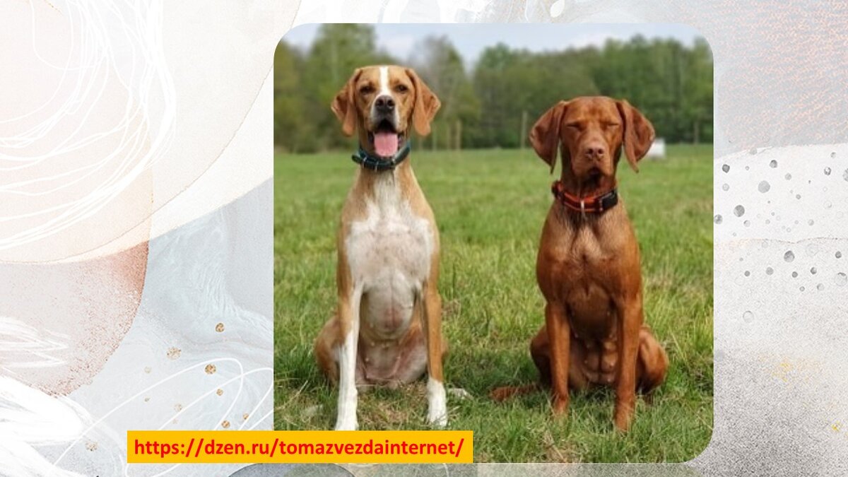 Из открытых источников