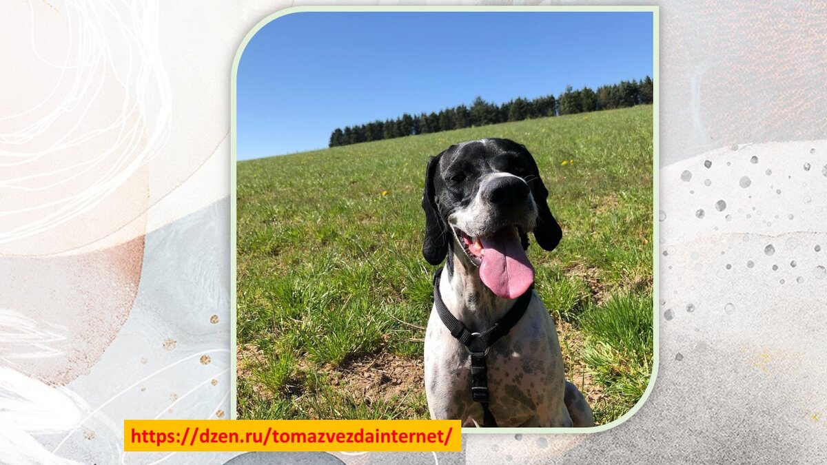 Из открытых источников