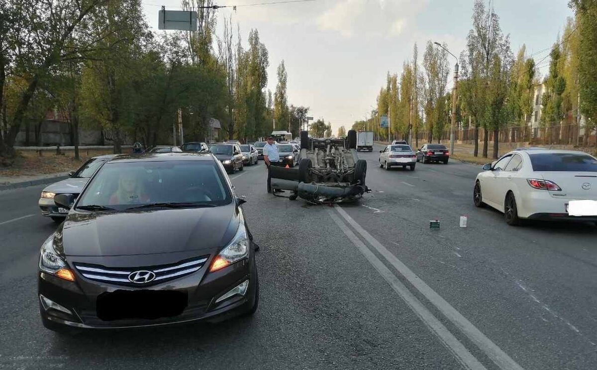 В Воронеже в массовом ДТП пострадали два человека и две собаки | Горком36 |  Воронеж | Дзен