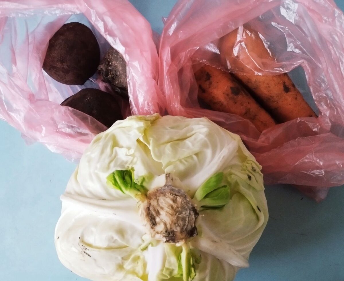 Фото автора статьи