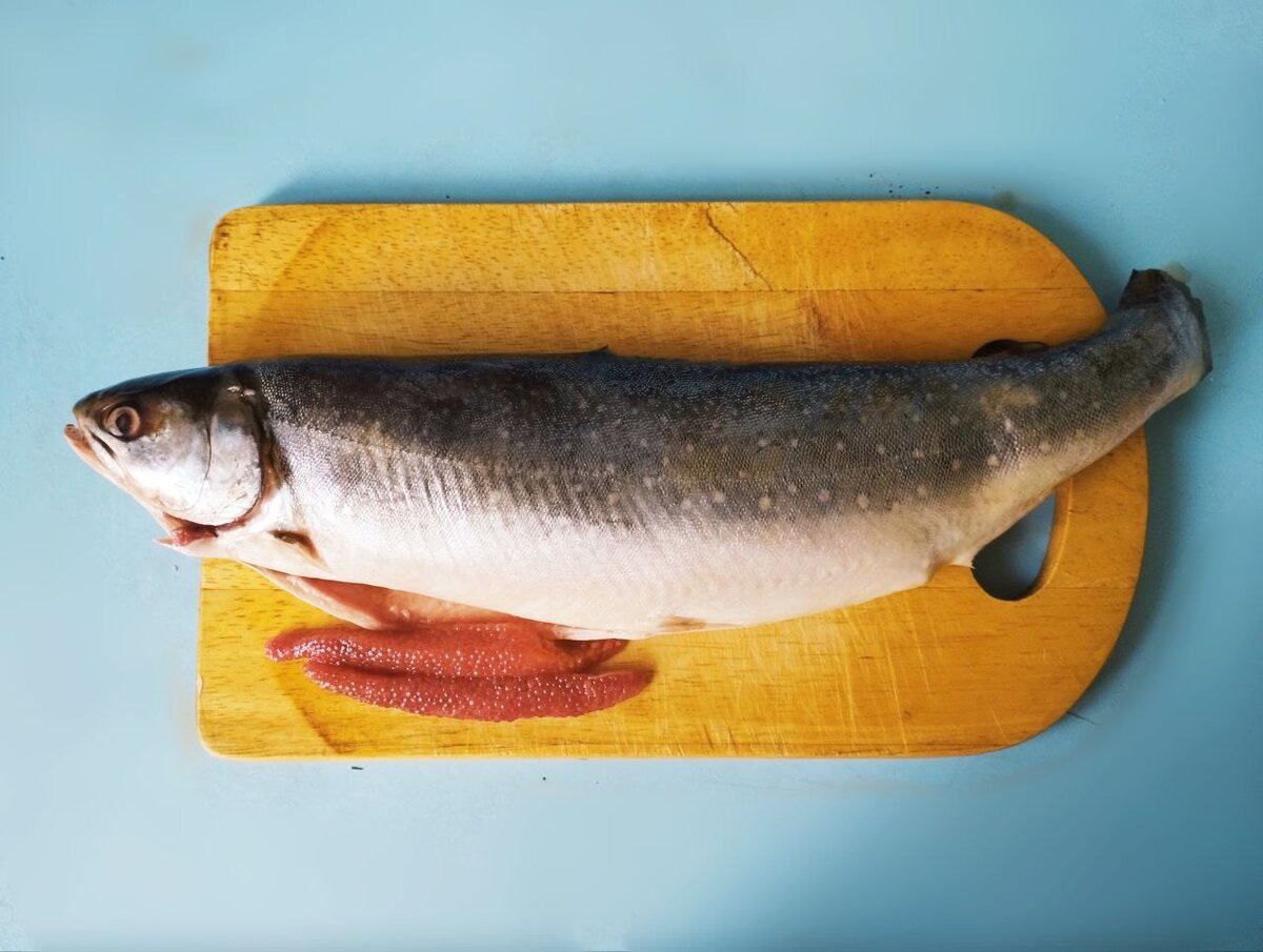 Фото автора статьи