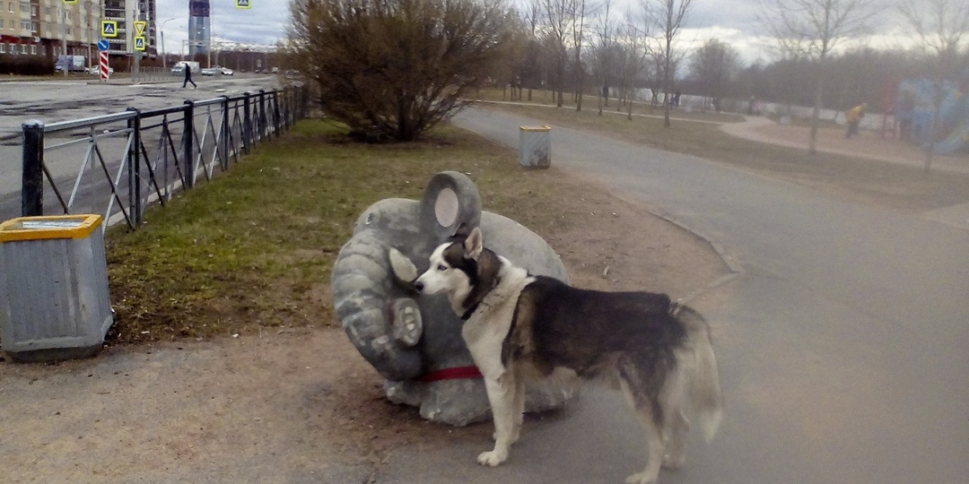 Уберите свою собаку, или Не делайте свою фобию моей проблемой