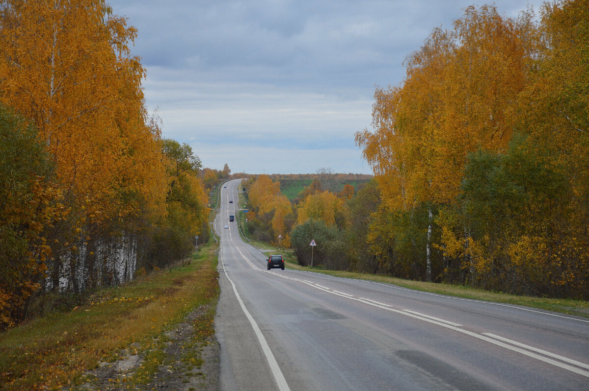 Стихотворение и все фотографии в статье мои