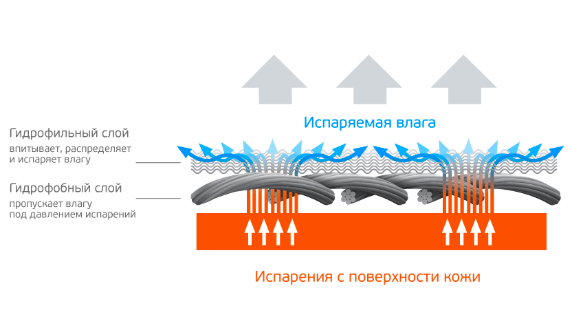 Принцип действия термобелья. Испарение влаги с поверхности. Испарение воды с поверхности кожи. Схема термобелья. Испарение пота с поверхности кожи