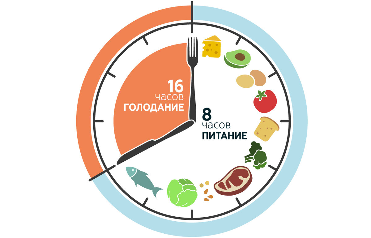 Теория распределение времени при голодании