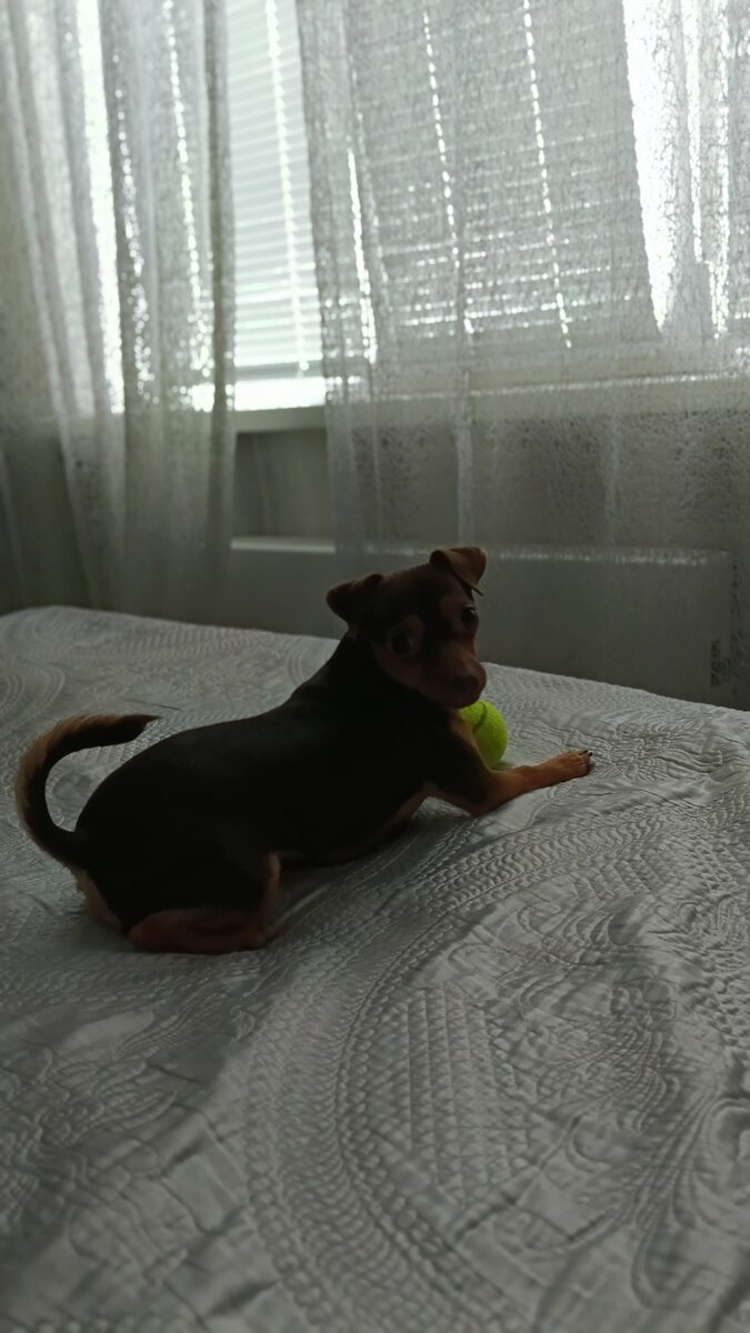 Уже на кровати и с игрушкой.                                                                                              