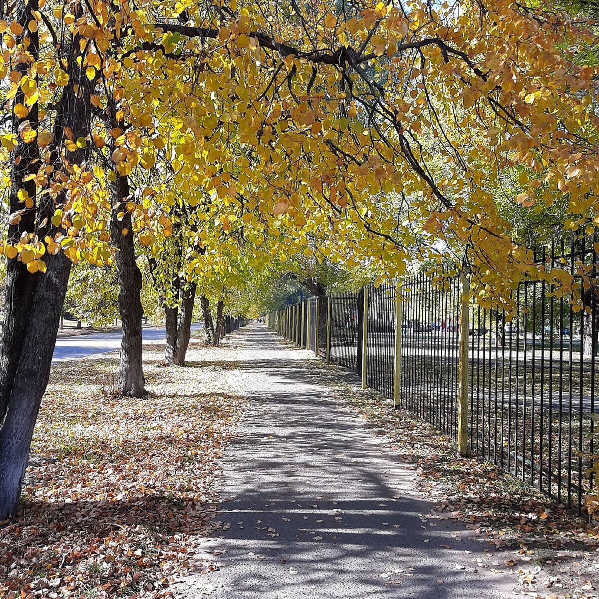  астрологический прогноз на неделю 2-8 октября 2023