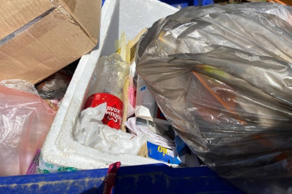    В Ярославле бабушка с 5-летней внучкой искала еду в мусорных контейнерах