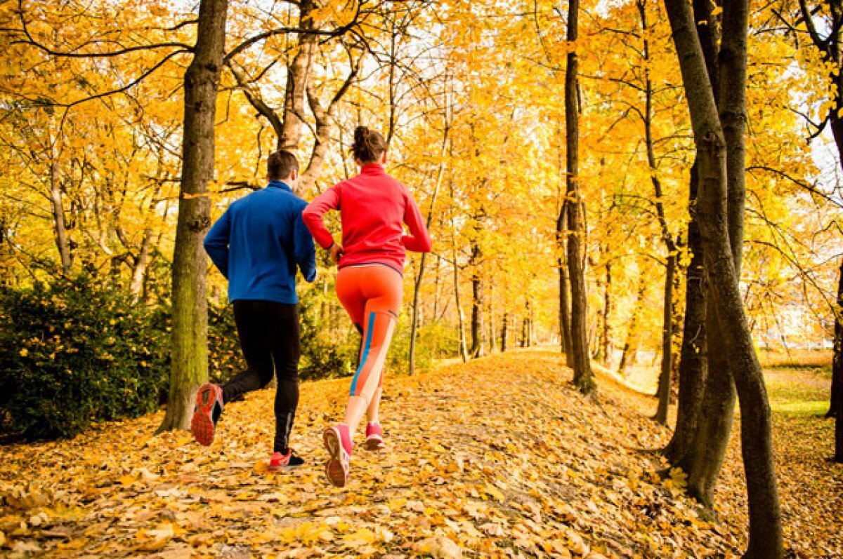    Диалог о природе.