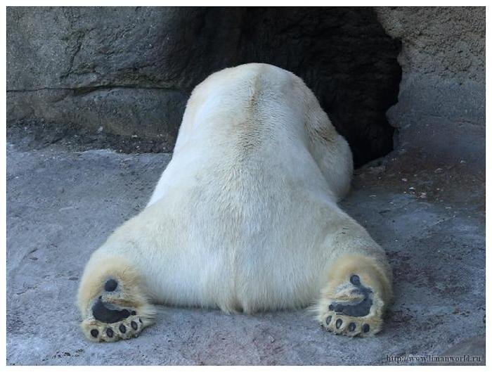 Источник Pinterest