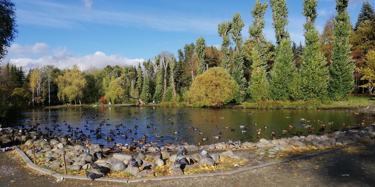 Дендрарий екатеринбург фото