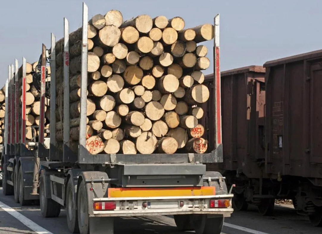 Export logs