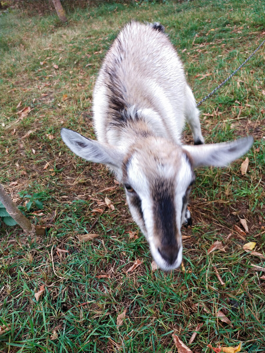 Мокрая Буся 