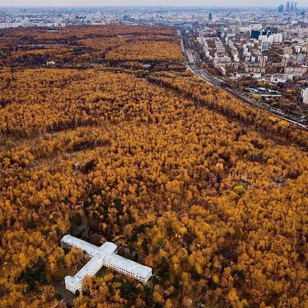 Лучшие места для посещения в Москве. | Мотоперевозка.рф | Дзен