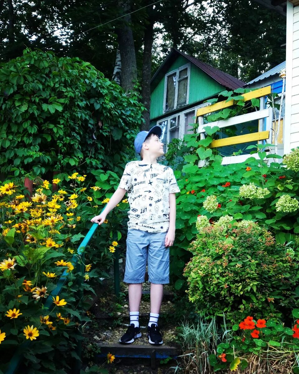 Домики и зелень