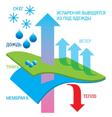 Мембрана в одежде - журнал 13malyshok.ru