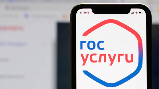    Что такое двухфакторная аутентификация на "Госуслугах" и как она работает Алина Городниченко