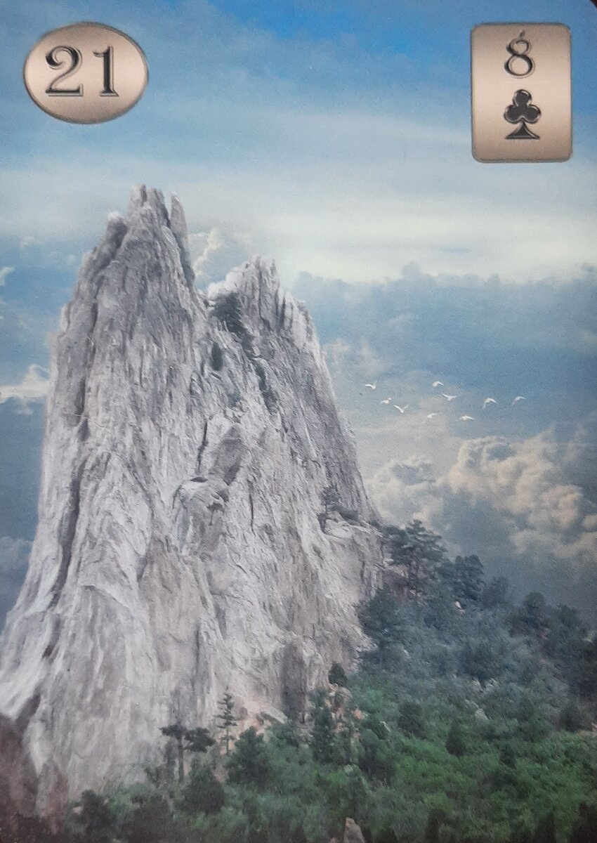 Thelema Lenormand. Renata Lechner