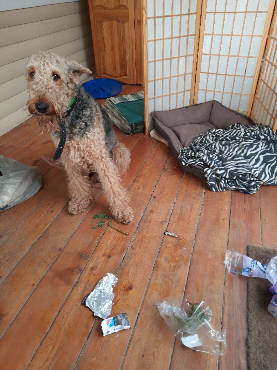 Виноват. Извини, но буду еще