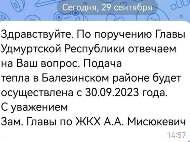     Фото: Балезино (vk.com)