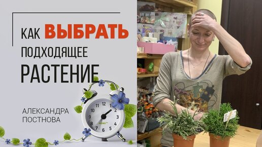 Когда глаза разбегаются - как выбрать своё растение?