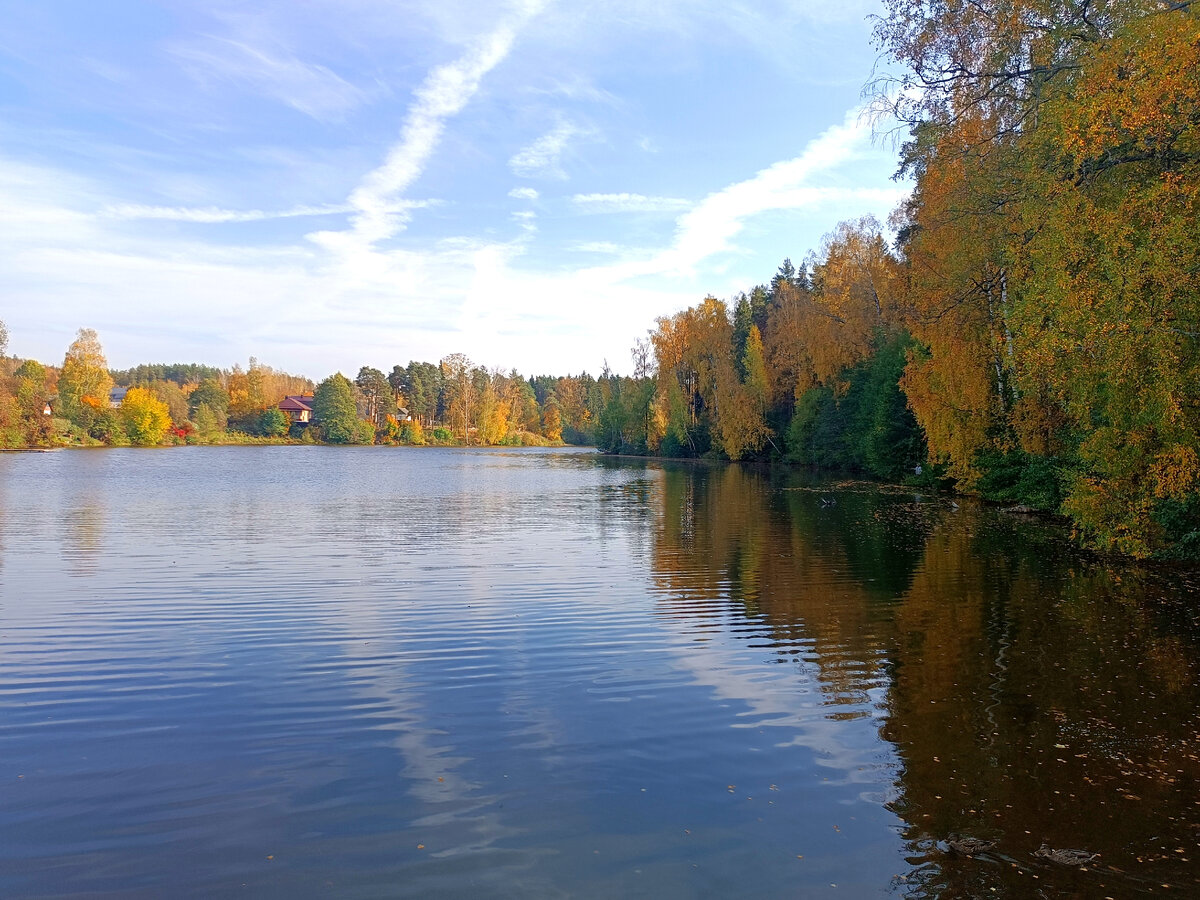 Самый далекий от дома, но самый близкий по духу. Мой любимый парк в городе  Иваново | Экзотика в хрущёвке, что в Городе Невест | Дзен