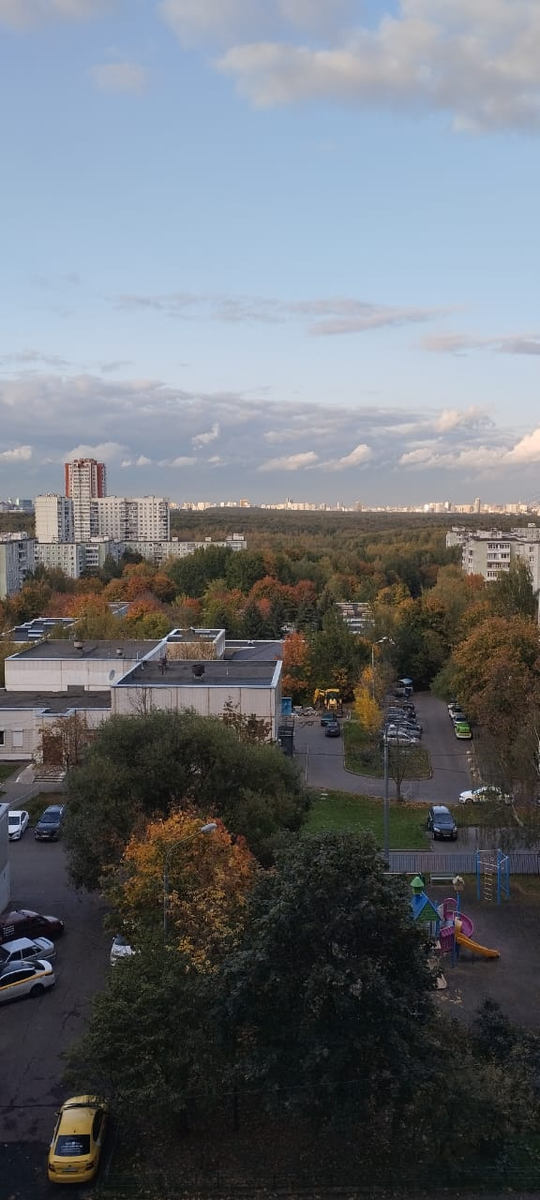 Ясенево фото. Литовский бульвар фото. Битцевский парк фото. 
