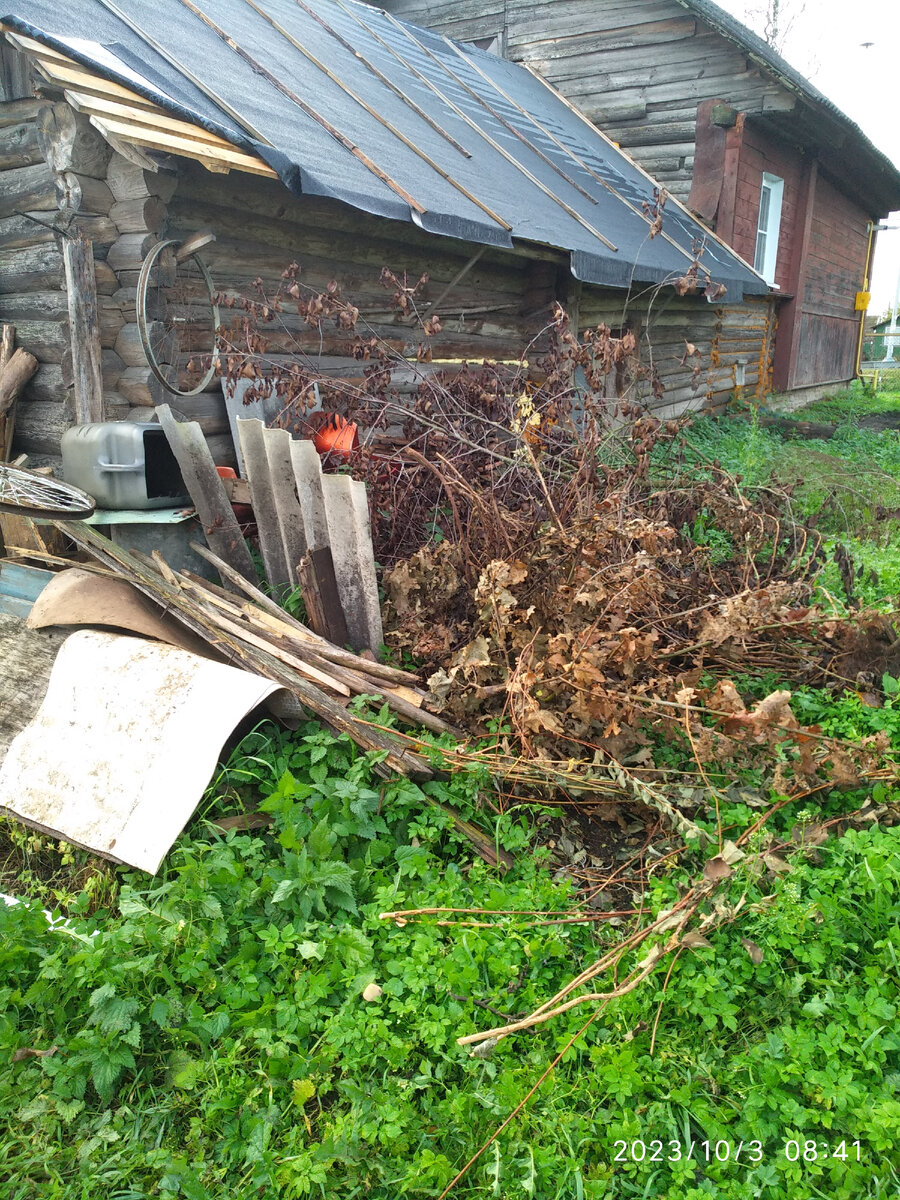 наш участок