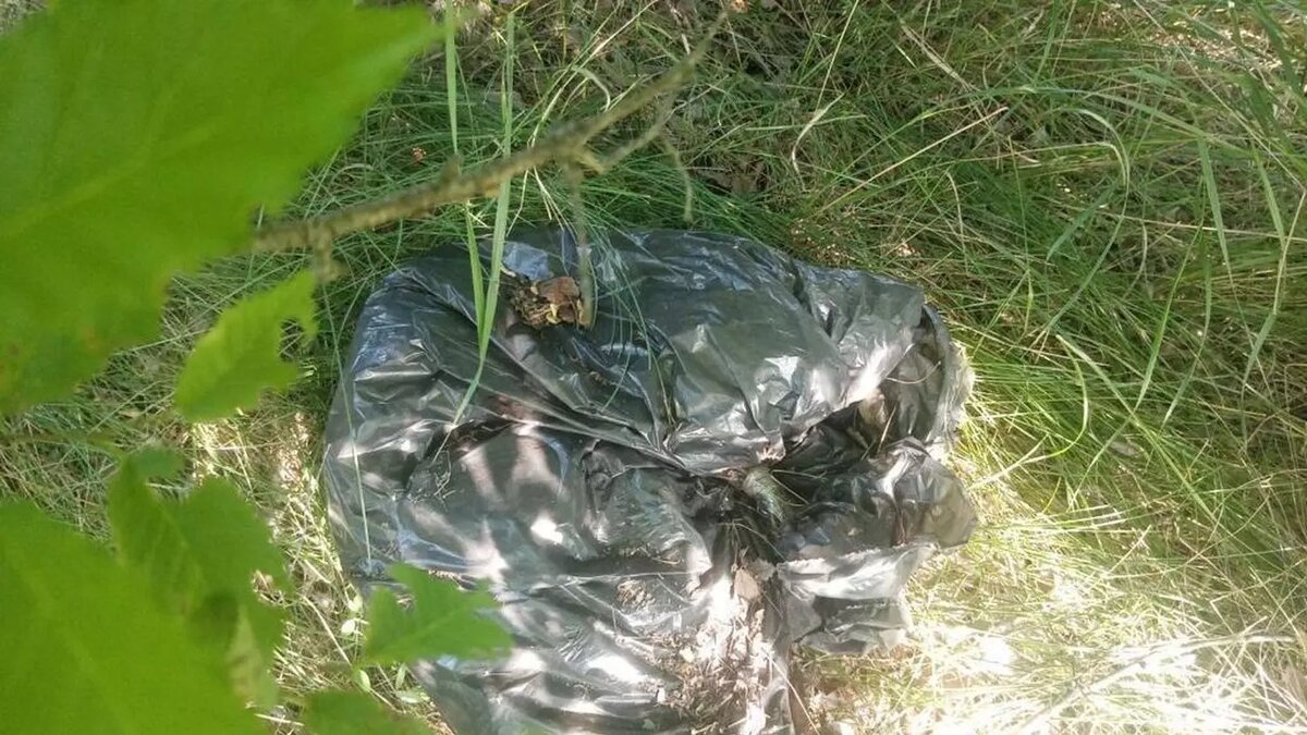     Жителю одной из стран ближнего зарубежья вынесли суровый приговор в Иловлинском районе за сбыт наркотиков особо крупном размере, сообщает пресс-служба УФСБ России по Волгоградской области.
