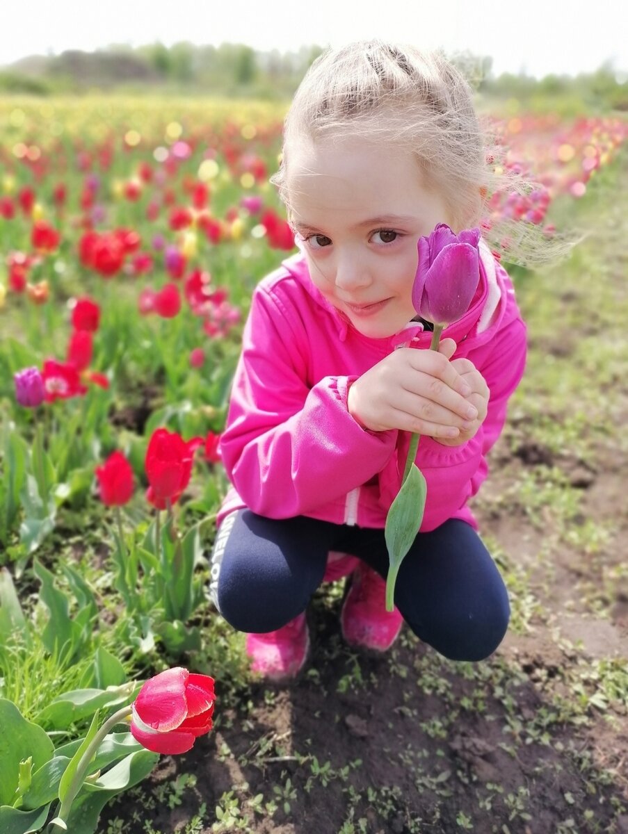 🌷Маленькая Голландия в Калининградской области. | 39 Калининградская  область. Тридевятое государство | Дзен