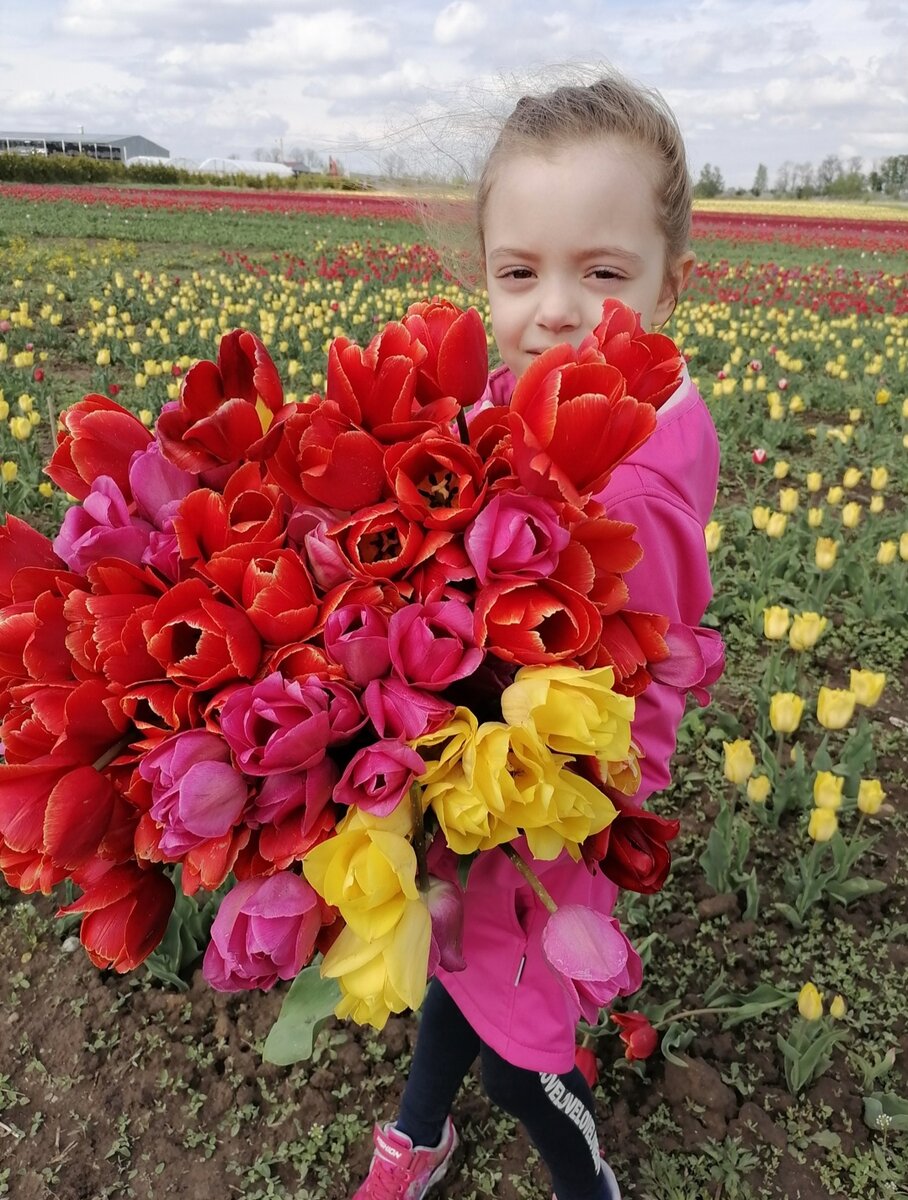 🌷Маленькая Голландия в Калининградской области. | 39 Калининградская  область. Тридевятое государство | Дзен