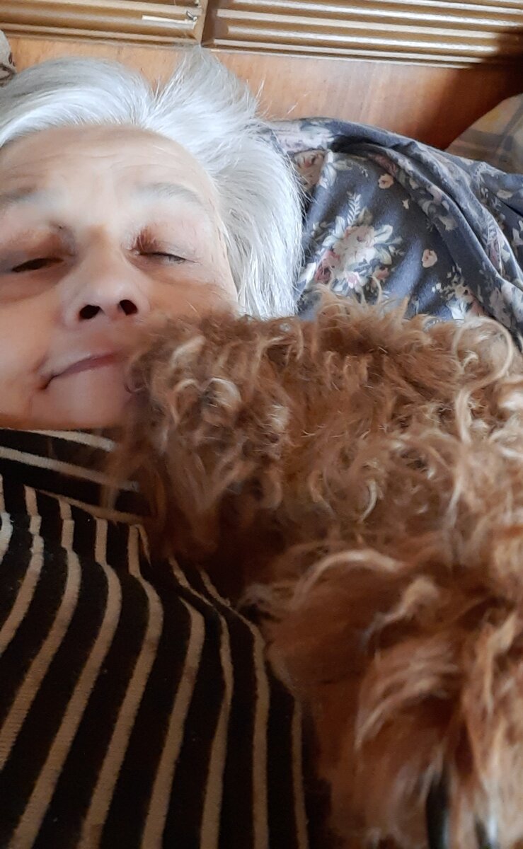 Если рыжего мало в окраске твоей, я тебе помогу - подружке моей!» 😺 