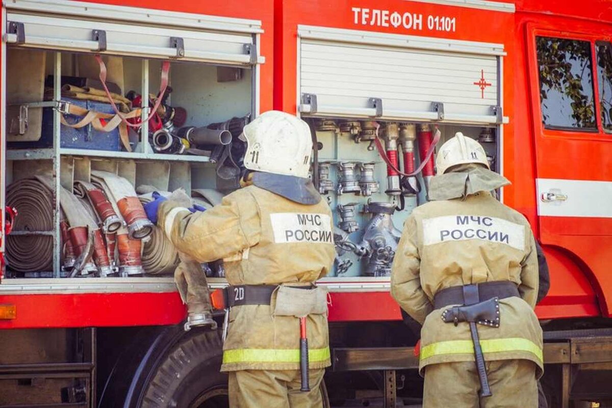 Противопожарный режим в Воронежской области продлён из-за погодных условий  | Горком36 | Воронеж | Дзен