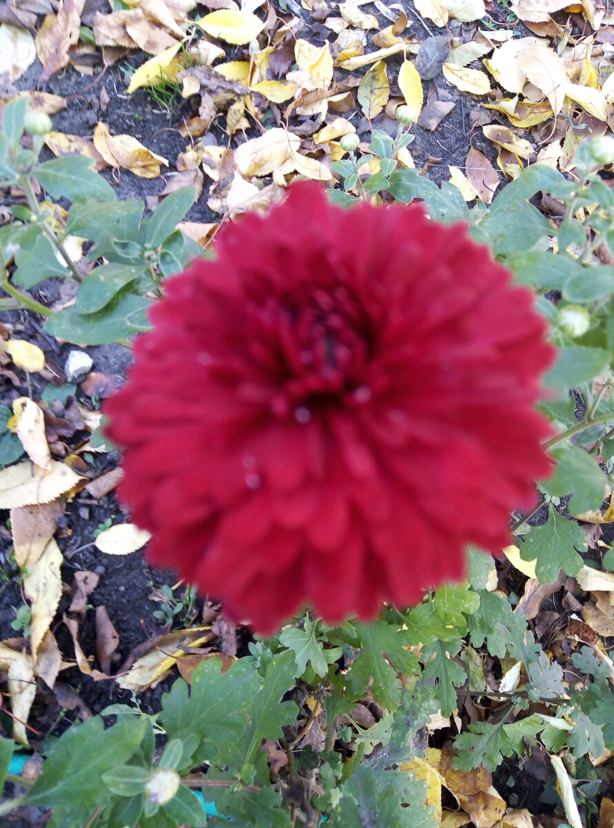 Фото автора..