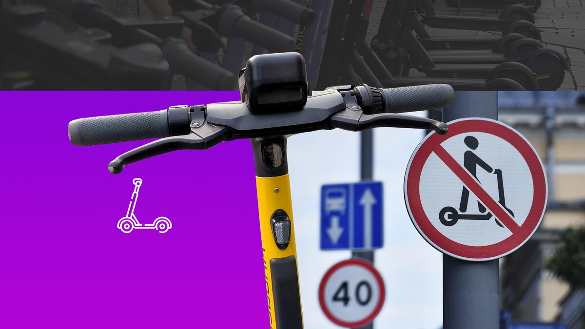 Коллаж 78.ru: Maksim Konstantinov; Vladimir Baranov/globallookpress.com, 78.ru, flaticon.com/Freepik