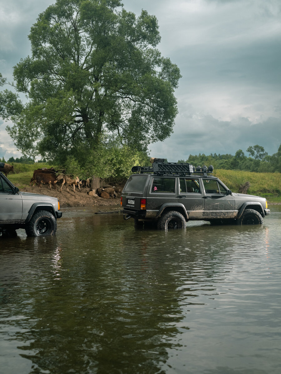 Небольшое стадо коров и овец добавило кадру колорита 