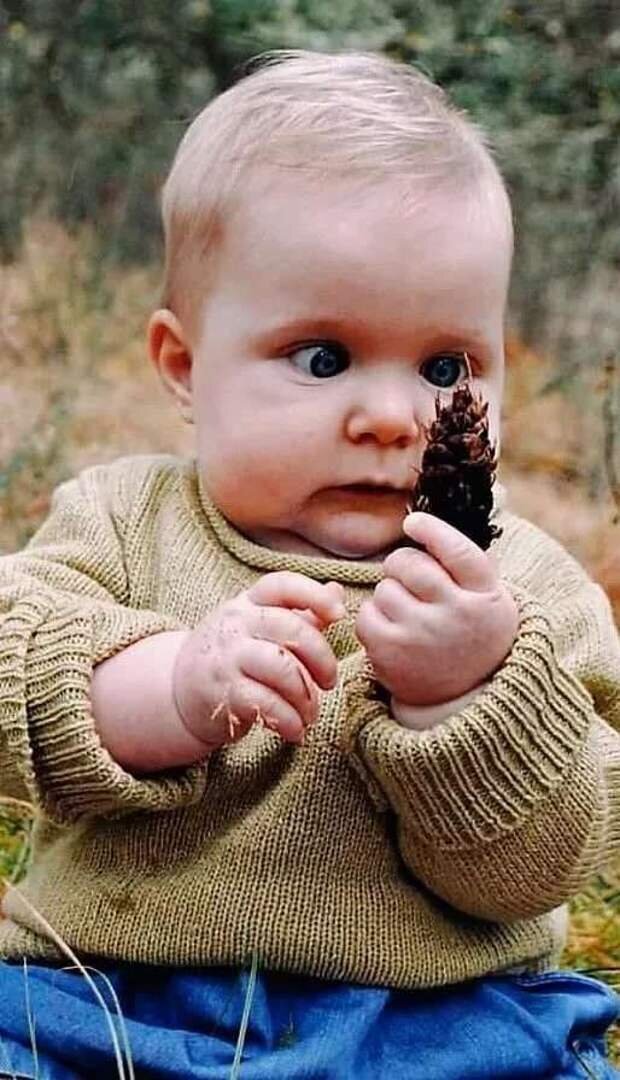 из общедоступных источников