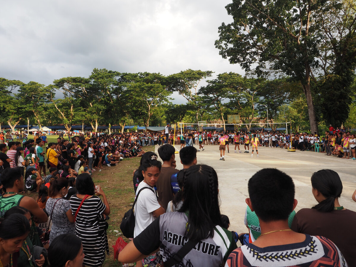 Болельщики и спортсмены