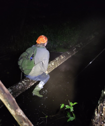 Когда координатор говорит, что задача будет легкой)